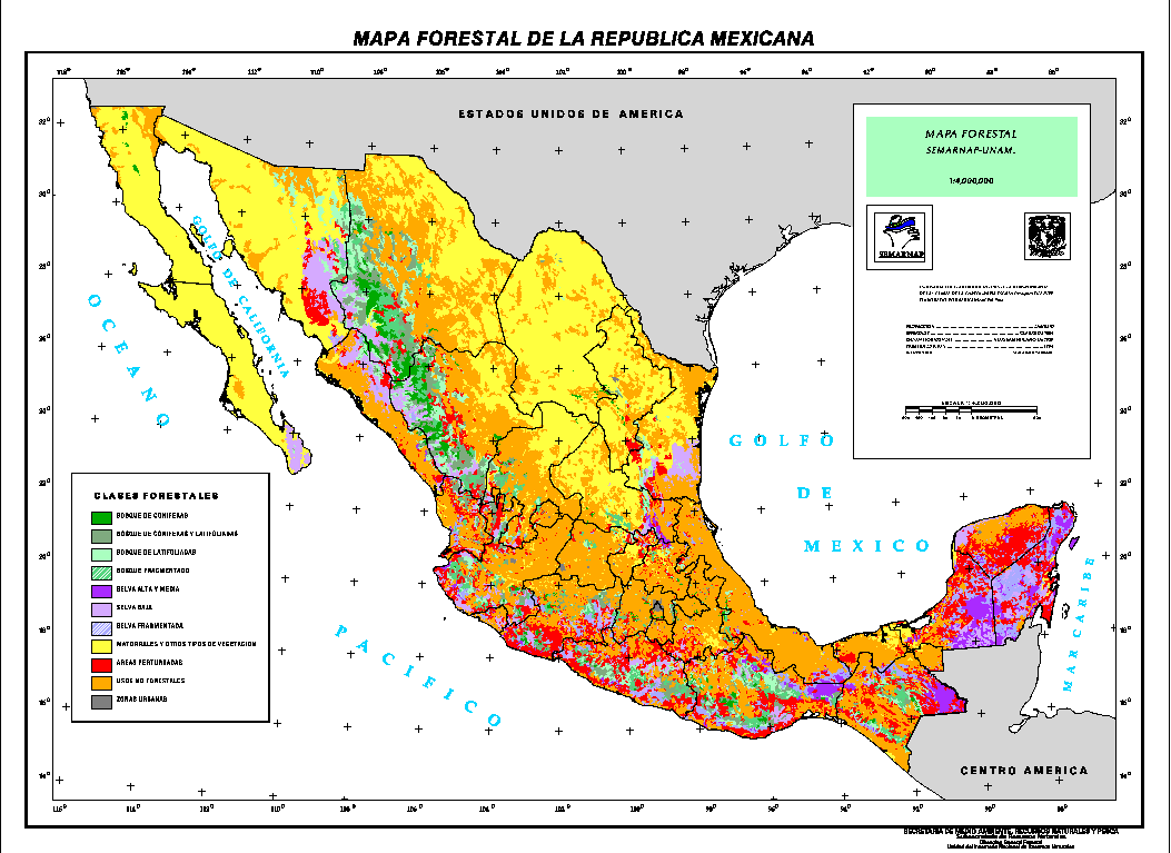 mexiko karte wald