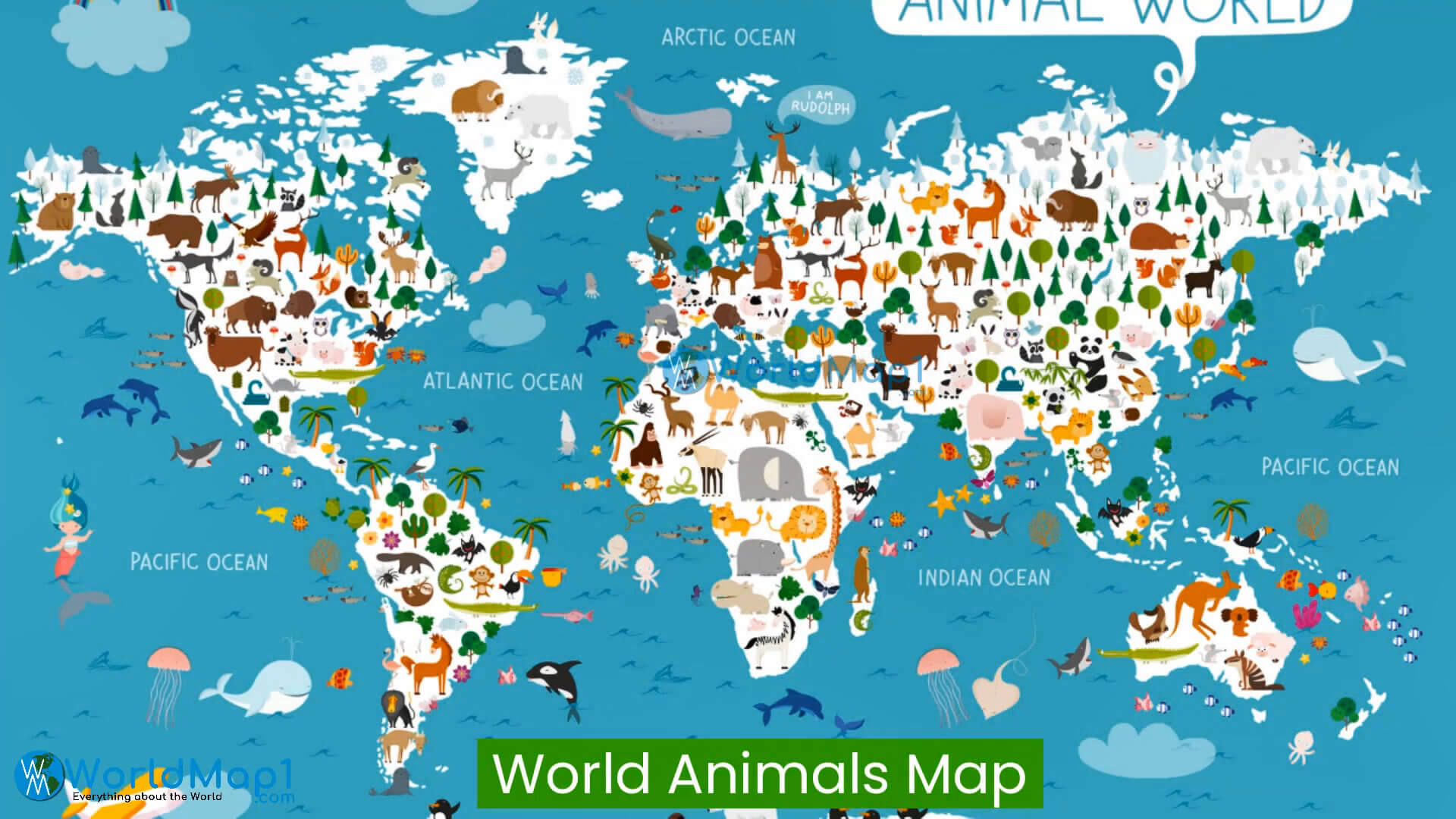 Welttierkarte