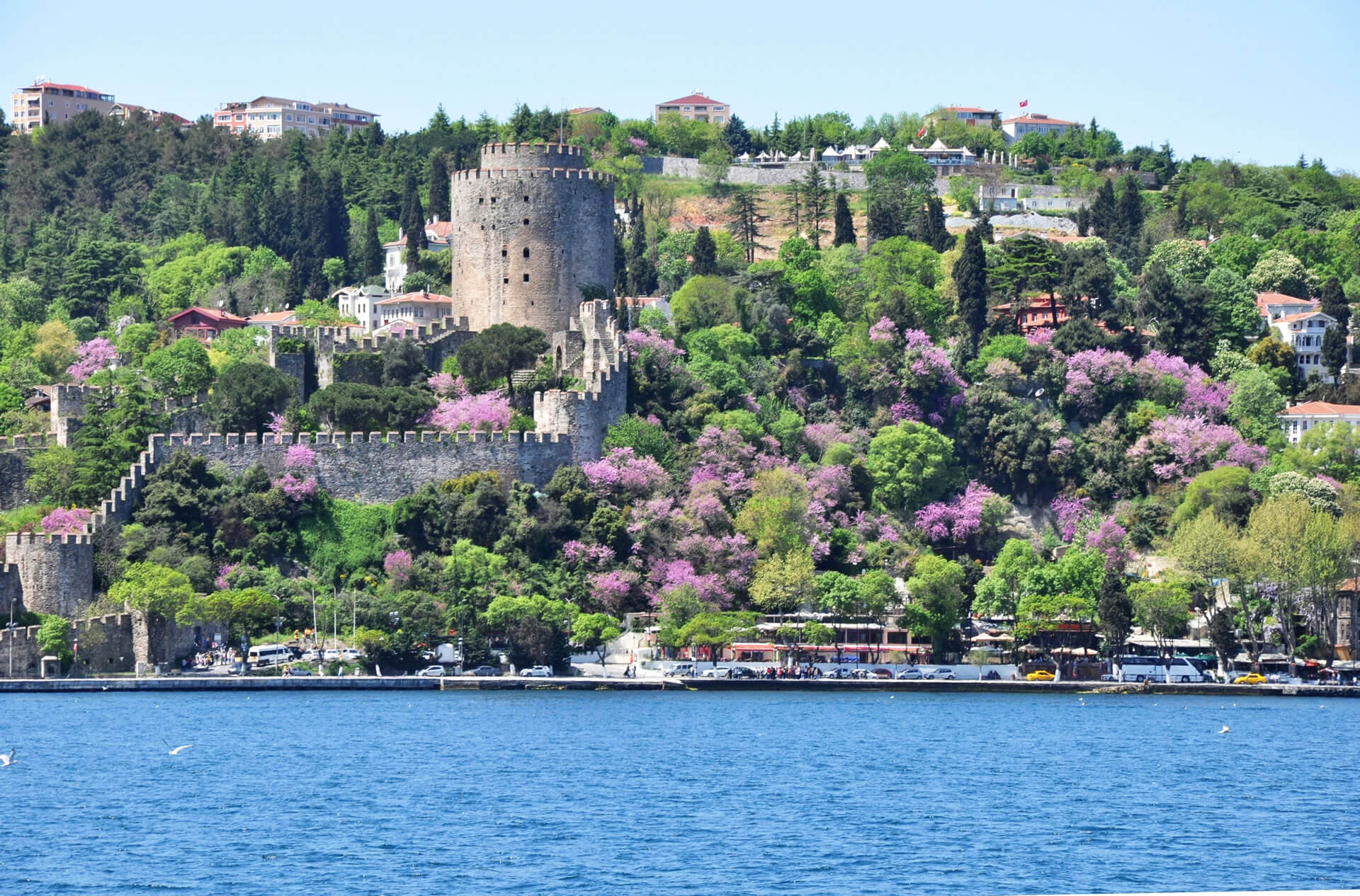 Bosporus Tour